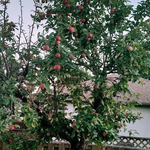 Meet your Posher, Parasreet